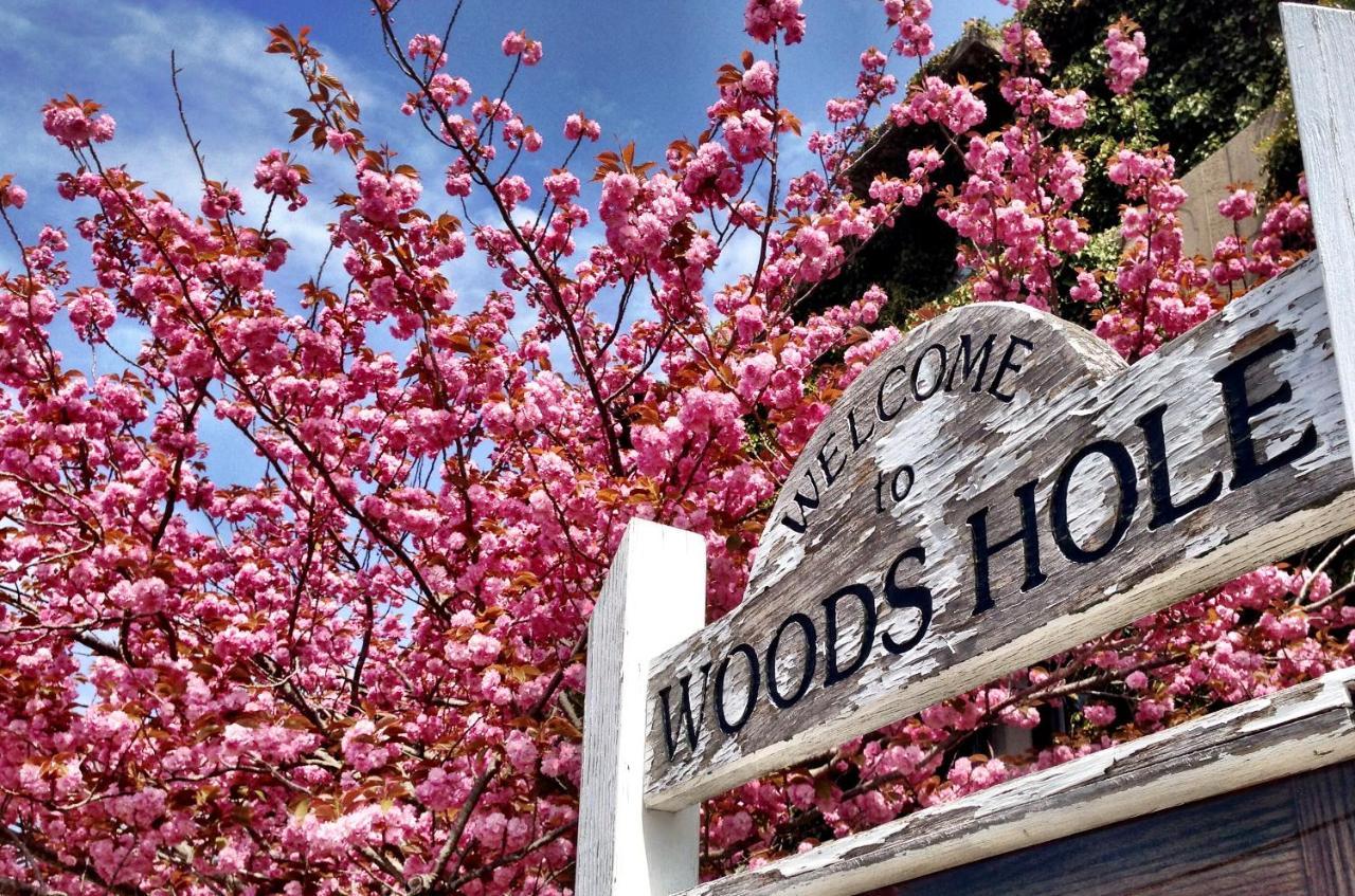 Treehouse Lodge Woods Hole Eksteriør billede
